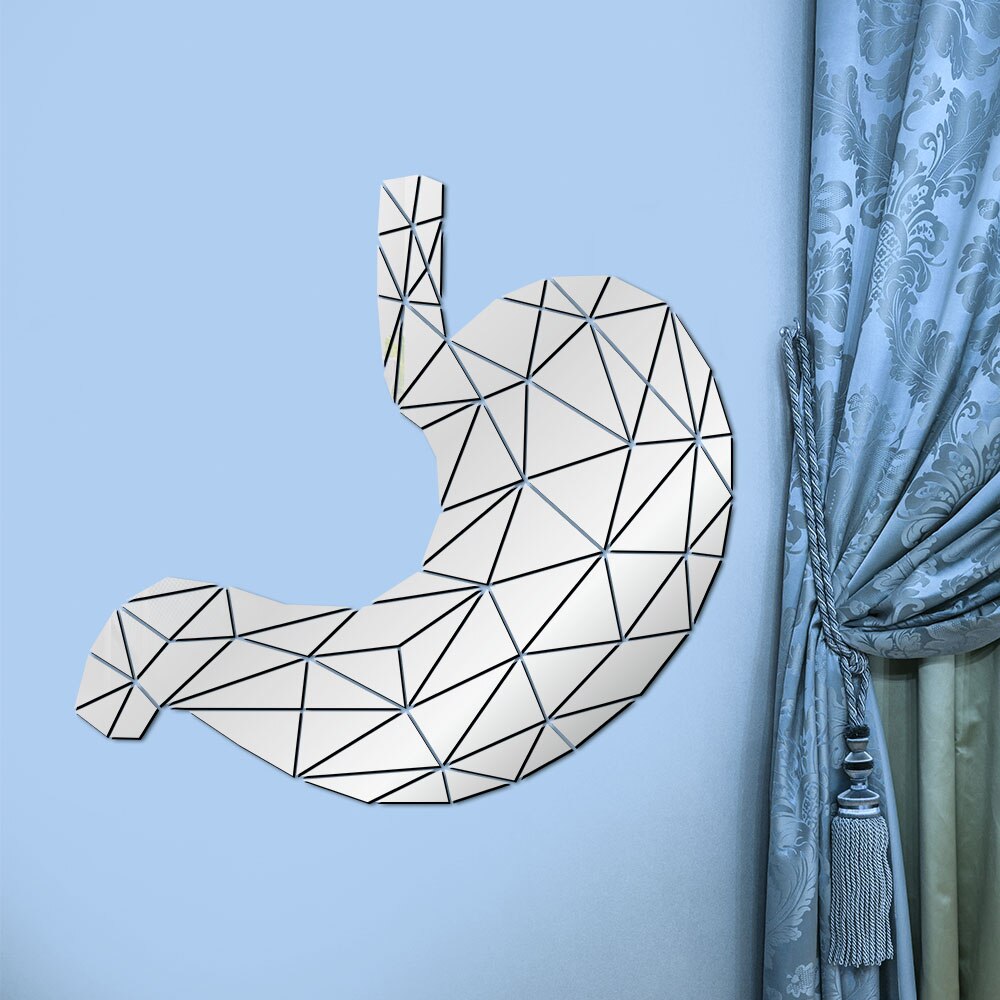 Stomach Anatomy Geometric Acrylic Mirror Wall Sticker Digestive System Medical 3D Mirrored Wall Decal Med Student Gift by Woody Signs Co. - Handmade Crafted Unique Wooden Creative