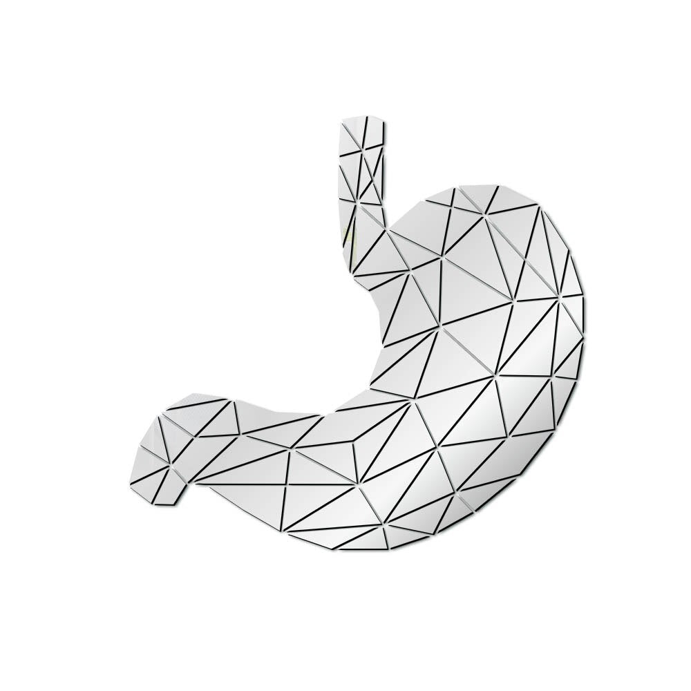 Stomach Anatomy Geometric Acrylic Mirror Wall Sticker Digestive System Medical 3D Mirrored Wall Decal Med Student Gift by Woody Signs Co. - Handmade Crafted Unique Wooden Creative