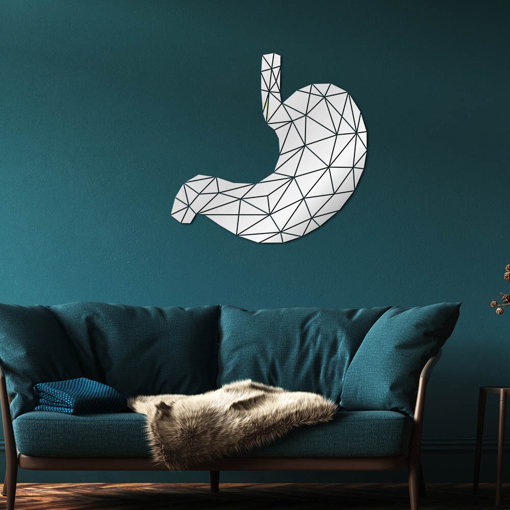 Stomach Anatomy Geometric Acrylic Mirror Wall Sticker Digestive System Medical  3D Mirrored Wall Decal Med Student Gift by Woody Signs Co. - Handmade Crafted Unique Wooden Creative