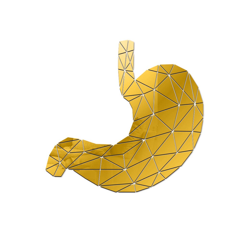 Stomach Anatomy Geometric Acrylic Mirror Wall Sticker Digestive System Medical 3D Mirrored Wall Decal Med Student Gift by Woody Signs Co. - Handmade Crafted Unique Wooden Creative