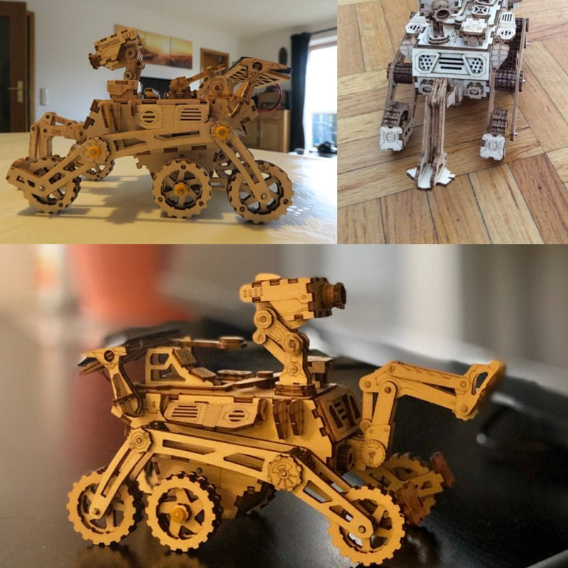 4 Kind Wooden Solar Energy Powered 3D Moveable Space Hunting DIY Model Creative Toy Gift for Child Adult LS402 by Woody Signs Co. - Handmade Crafted Unique Wooden Creative