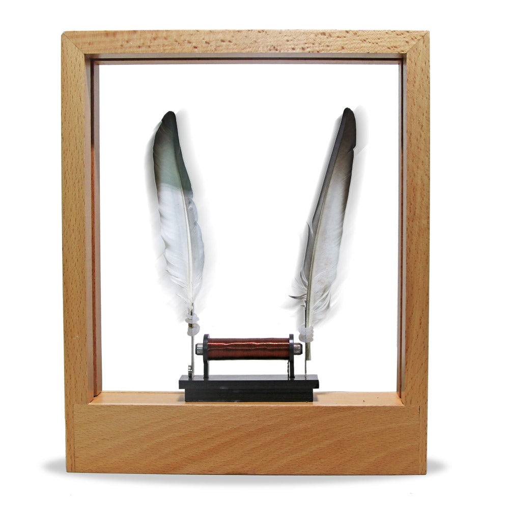 Lightweight Object Slow Motion Frame LED Optical Illusion Sculpture Slows Down Time Action Picture Frame Desktop ation by Woody Signs Co. - Handmade Crafted Unique Wooden Creative
