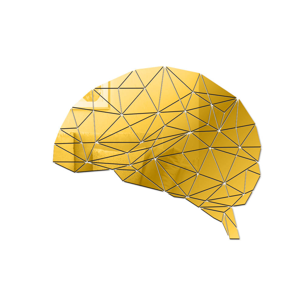 Brain Mind Acrylic Mirror Wall Stickers Neuroscience Wall Art Brain Anatomy 3D Decal Medical Office Decor Psychologist Gift idea by Woody Signs Co. - Handmade Crafted Unique Wooden Creative