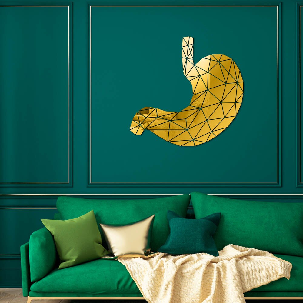 Stomach Anatomy Geometric Acrylic Mirror Wall Sticker Digestive System Medical 3D Mirrored Wall Decal Med Student Gift by Woody Signs Co. - Handmade Crafted Unique Wooden Creative